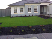 synthetic turf fake grass wholesale & installation111