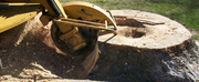 Stump Removals Melbourne