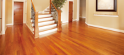 Floor Polishing Melbourne