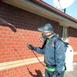 Pest Control Services in Roxburgh Park and Craigieburn 