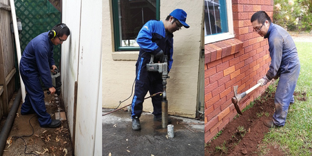Pest Control Service in Eastwood,  Ryde & Sydney - Leading Pest Control