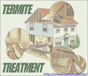 Instant Elimination Of Termites By Leading Solution - Termidor