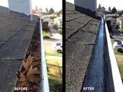 Gutter Cleaning