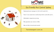 Termite Specialists Near Sydney