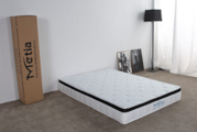 Gas lift bed frame