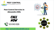 Best Pest Control Services in Alexandra Hills,  QLD