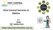 Best Pest Control Services in Melton